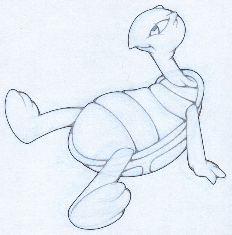 Cecil Turtle Resting