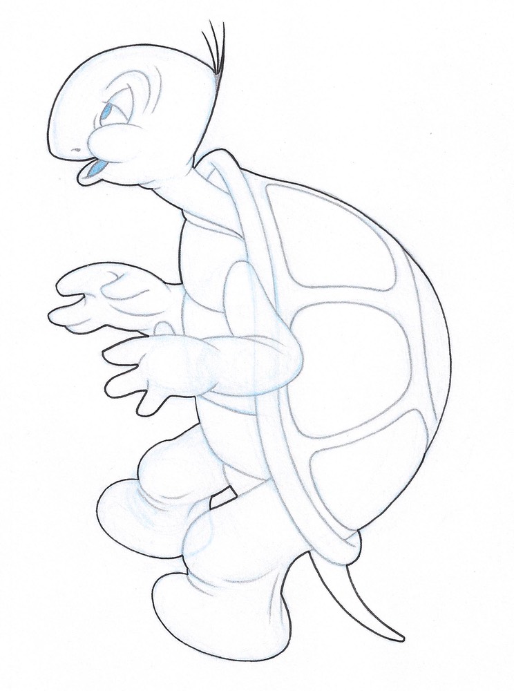 Cecil Turtle