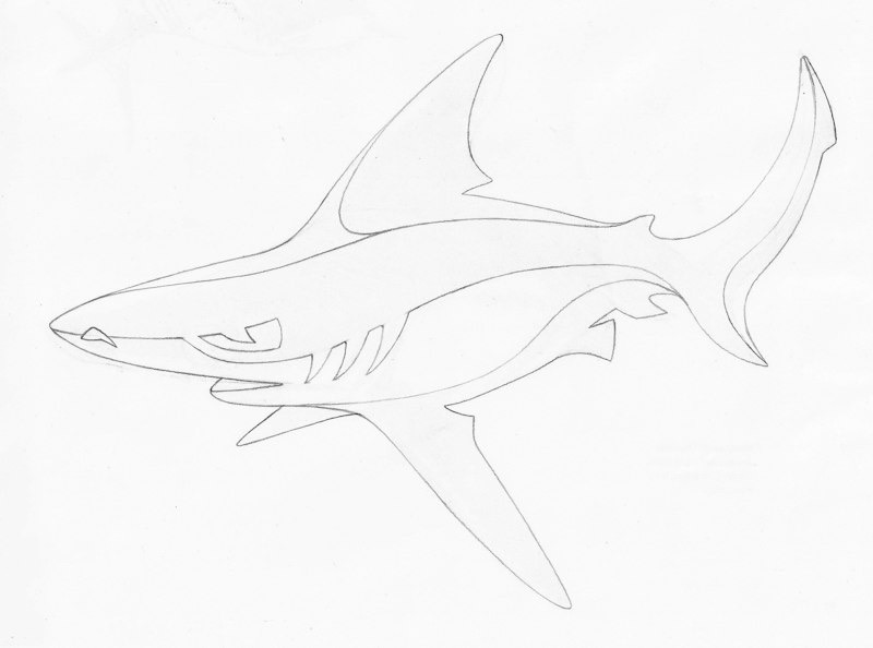 deseveshark