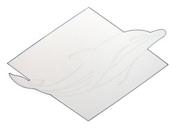 dolphin01