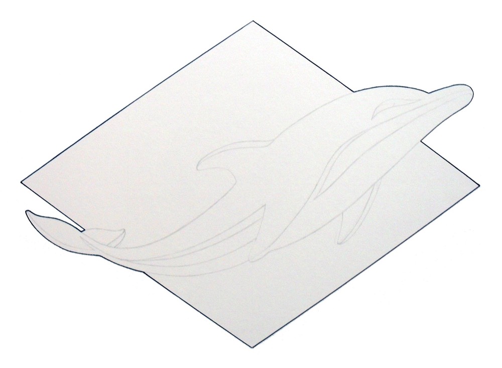 dolphin01