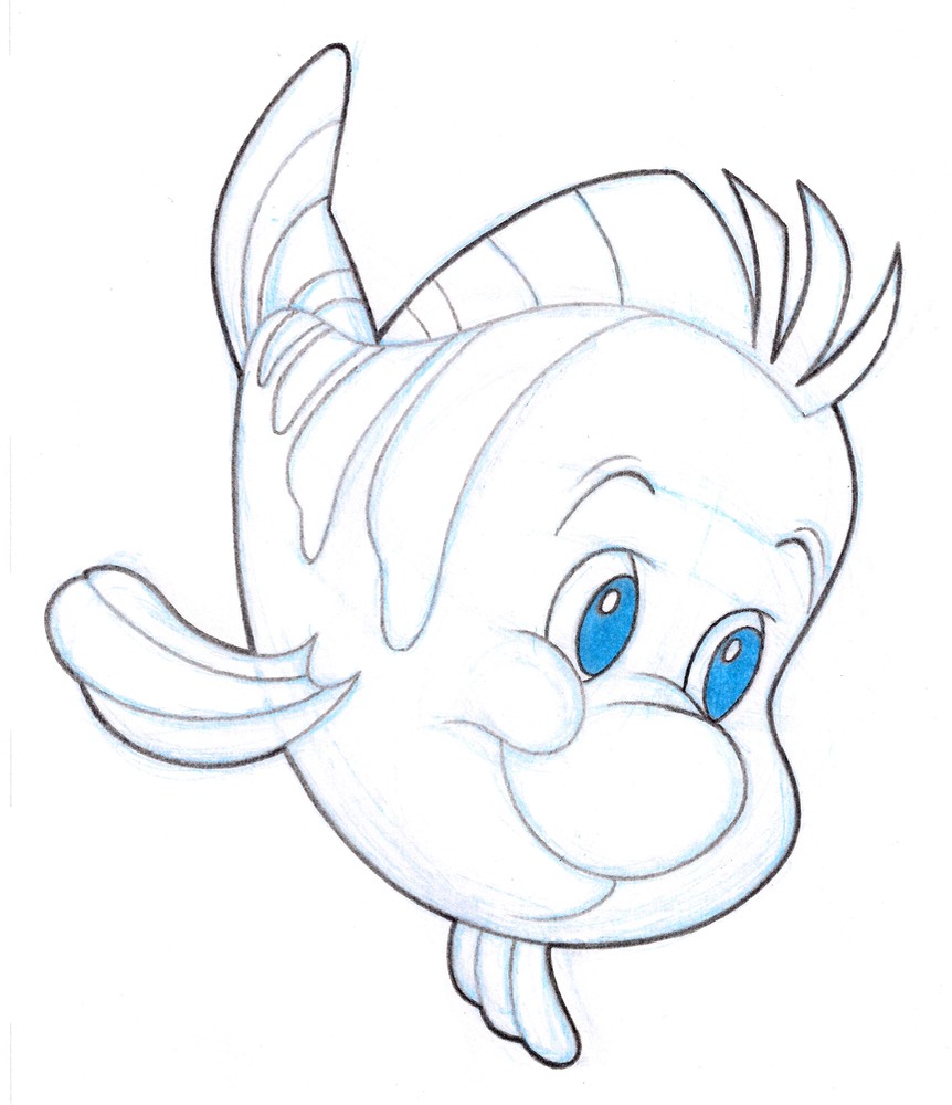 Flounder New