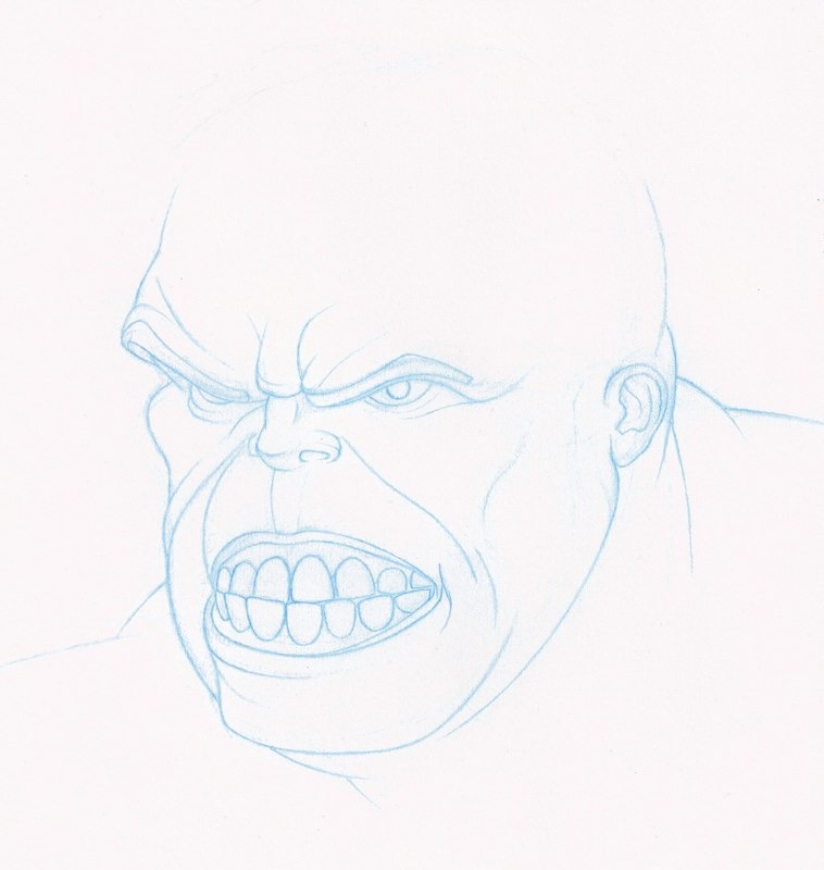 hp scanDS 102916292915