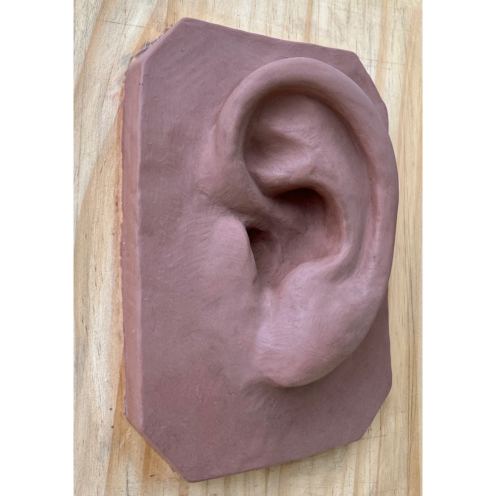 Ear 01 copy