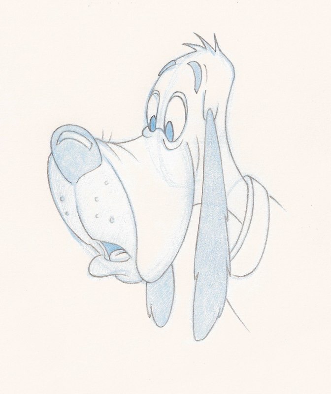pbdog1