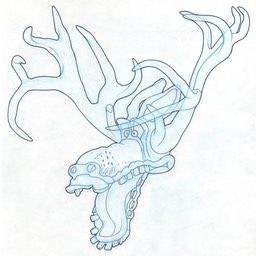 Roundy Deer