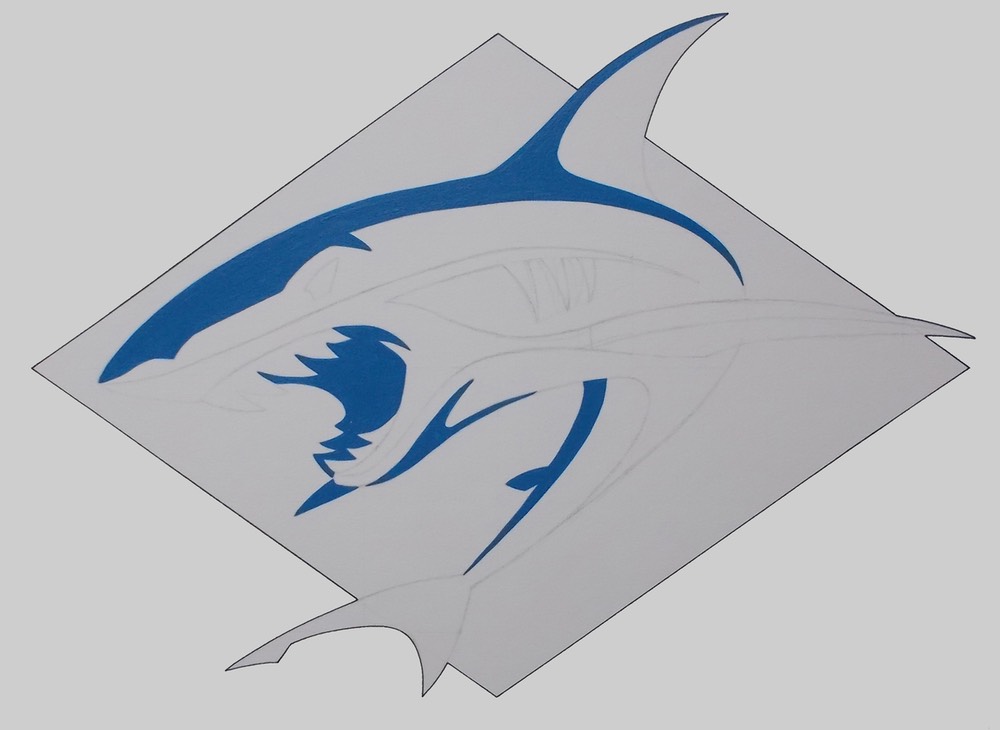 shark002