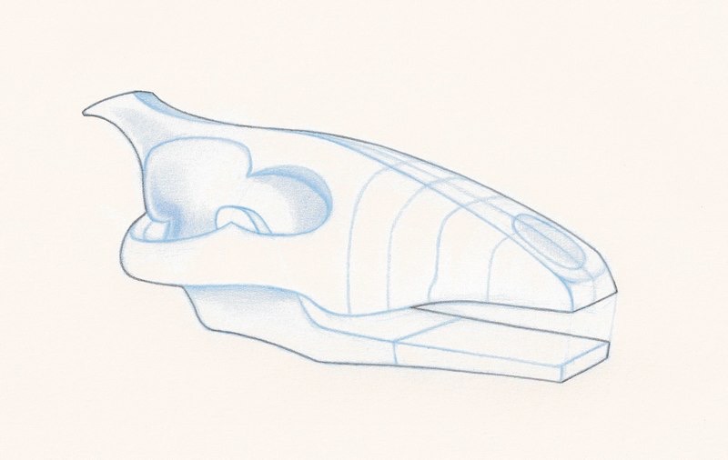 vandruffwolfskull2